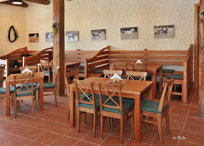 Gasthuis Kralovicky Dvur